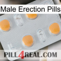 Male Erection Pills 24